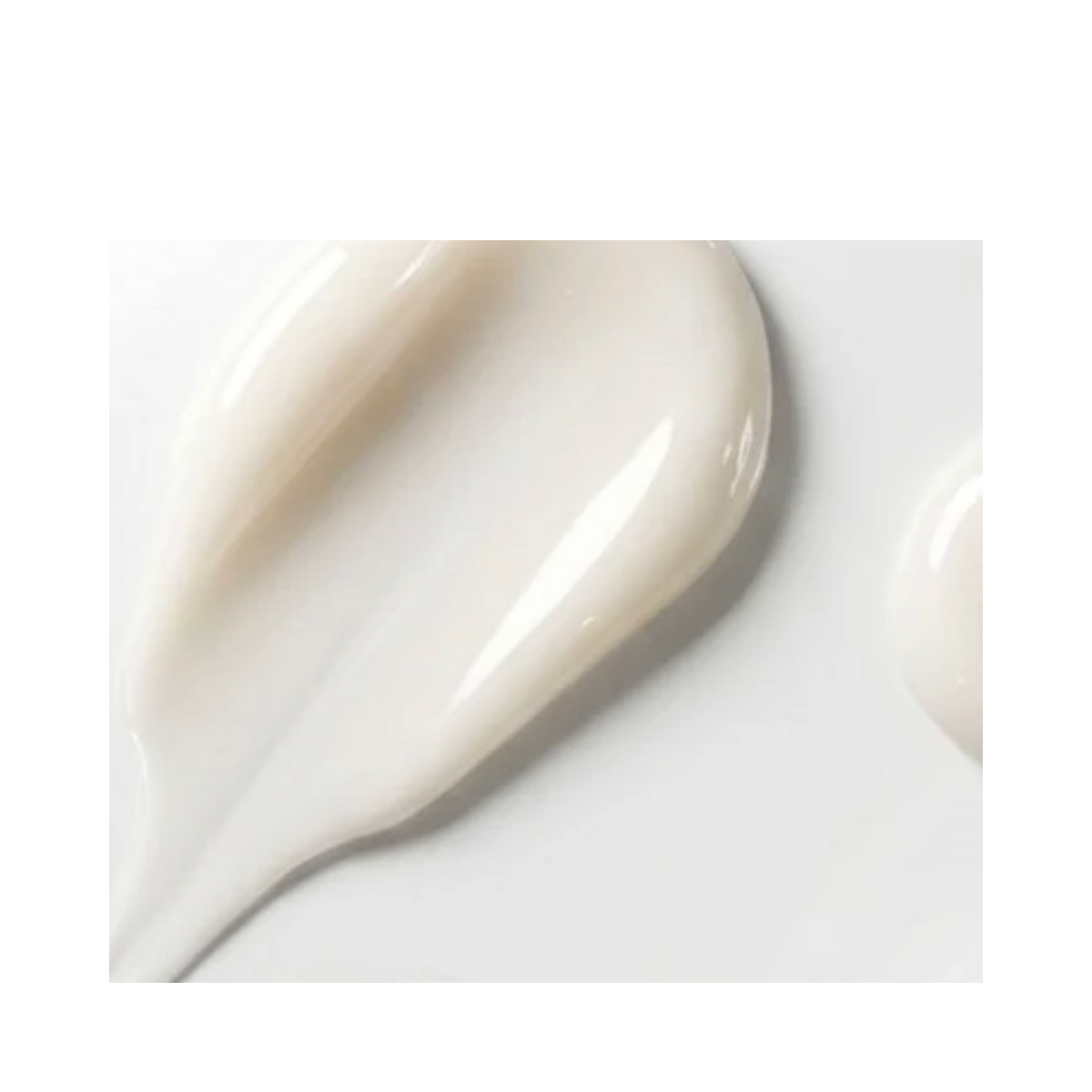 Derma Bella Face Perfection Moisturizer