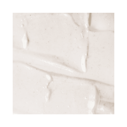 מרקם קרמי של Payot Moisturizing Matifying Emulsion עם אלמנטים טבעיים גלויים, אידיאלי לסוגי עור יבשים ומעורבים.