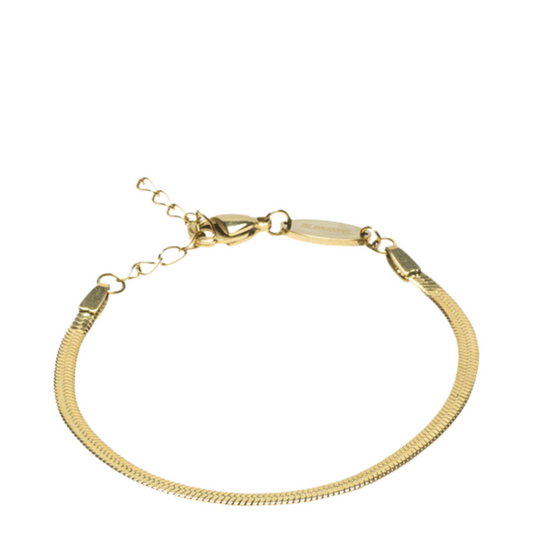Blomdahl Plain Gold Bracelet (5.5-19cm)