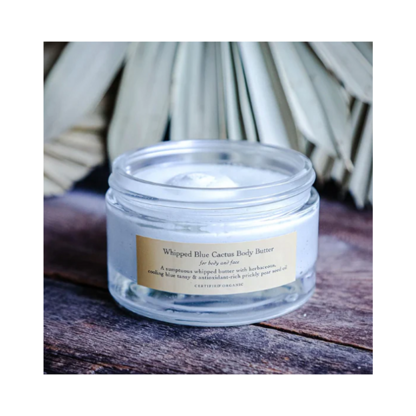 Evanhealy Whipped Blue Cactus Body Butter