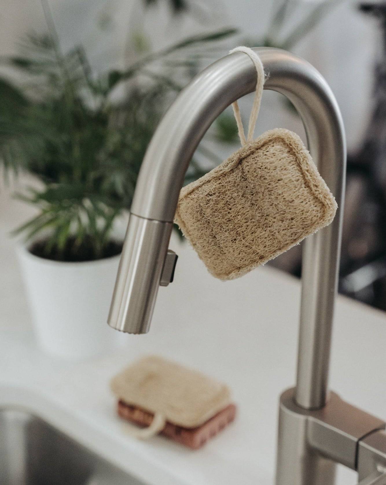 3 Pack Natural Loofah Sponge