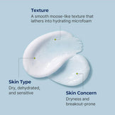 TORRIDEN Dive-In Low Molecular Hyaluronic Acid Cleansing Foam 150ml