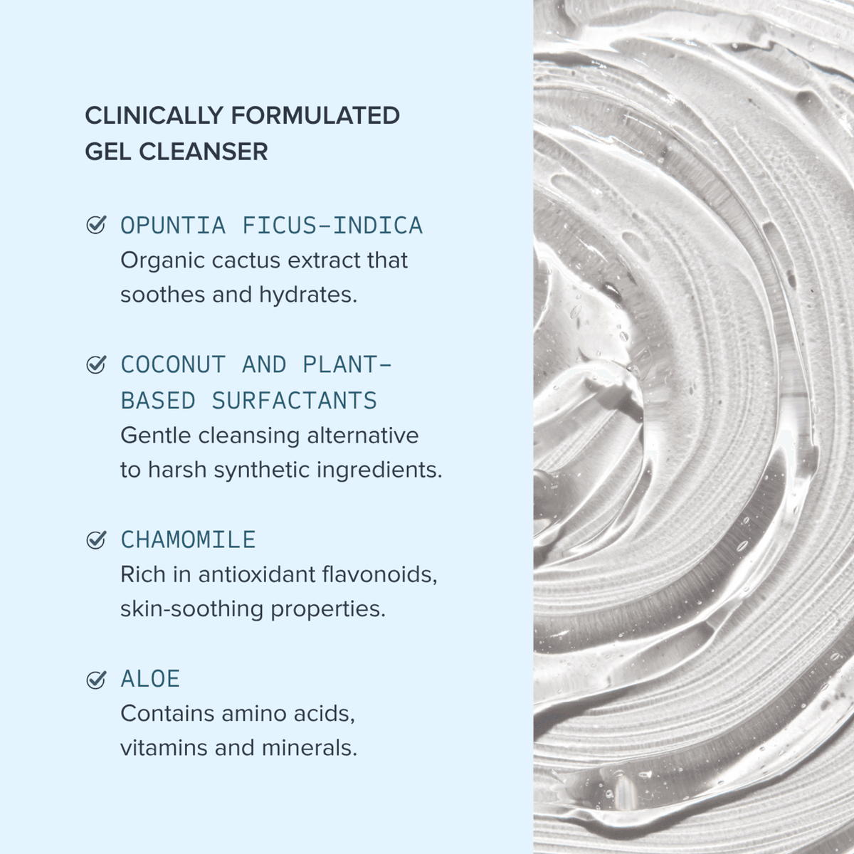 Alumier Purifying Gel Cleanser