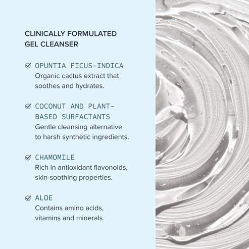 Alumier Purifying Gel Cleanser