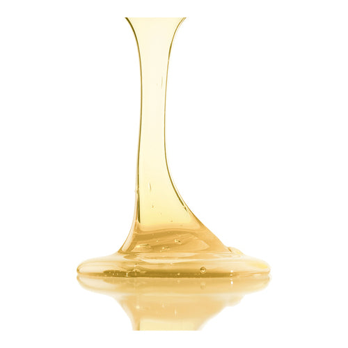 Leonor Greyl Bain TS Shampooing Balancing Treatment til olieagtige scalps og tørre ender