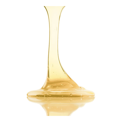 Leonor Greyl Bain TS Shampooing Balancing Treatment til olieagtige scalps og tørre ender