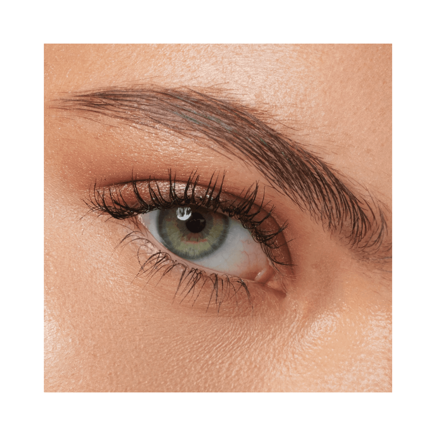 By Terry Browgel Blackstar