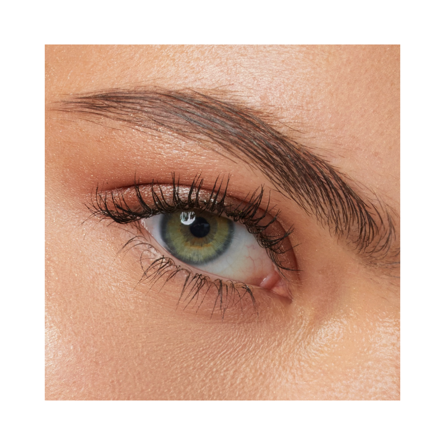 By Terry Browgel Blackstar