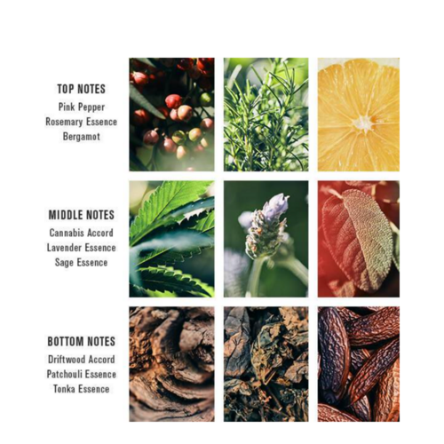 Baxter of California Cannabis Eau De Parfum