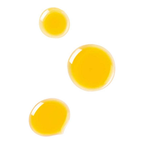 Dr. Hauschka afklarende dagolie