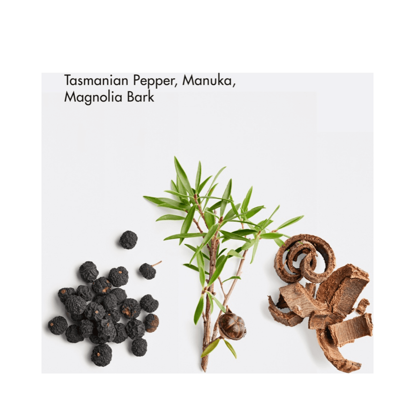 La Biosthetique Clarifying Matt Fluid