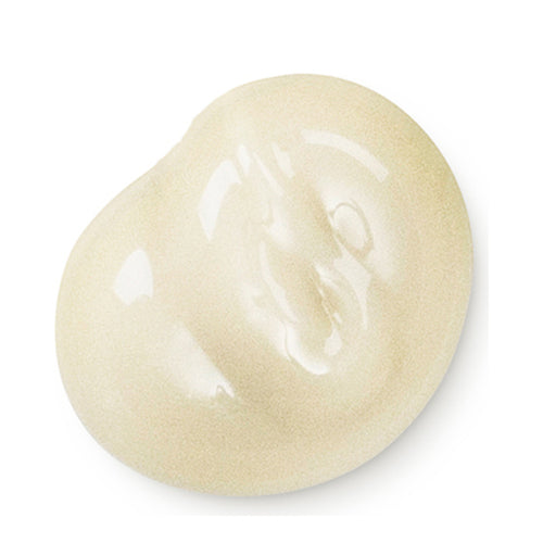 ניקוי ד"ר האושצ'קה