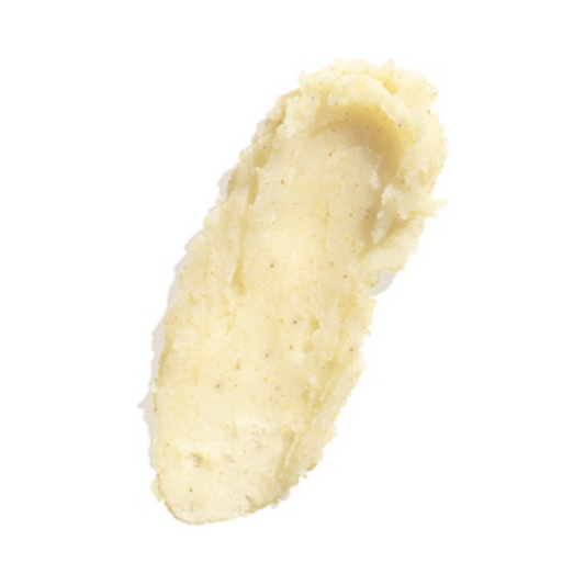 Nærbilde av Thalgo Coconut Shell Scrub-tekstur som viser kremet konsistens med eksfolierende partikler. Perfekt for kroppsvask og tørr hudpleierutiner.