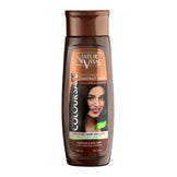 Natur Vital ColourSafe Chestnut Toned Hair Mask
