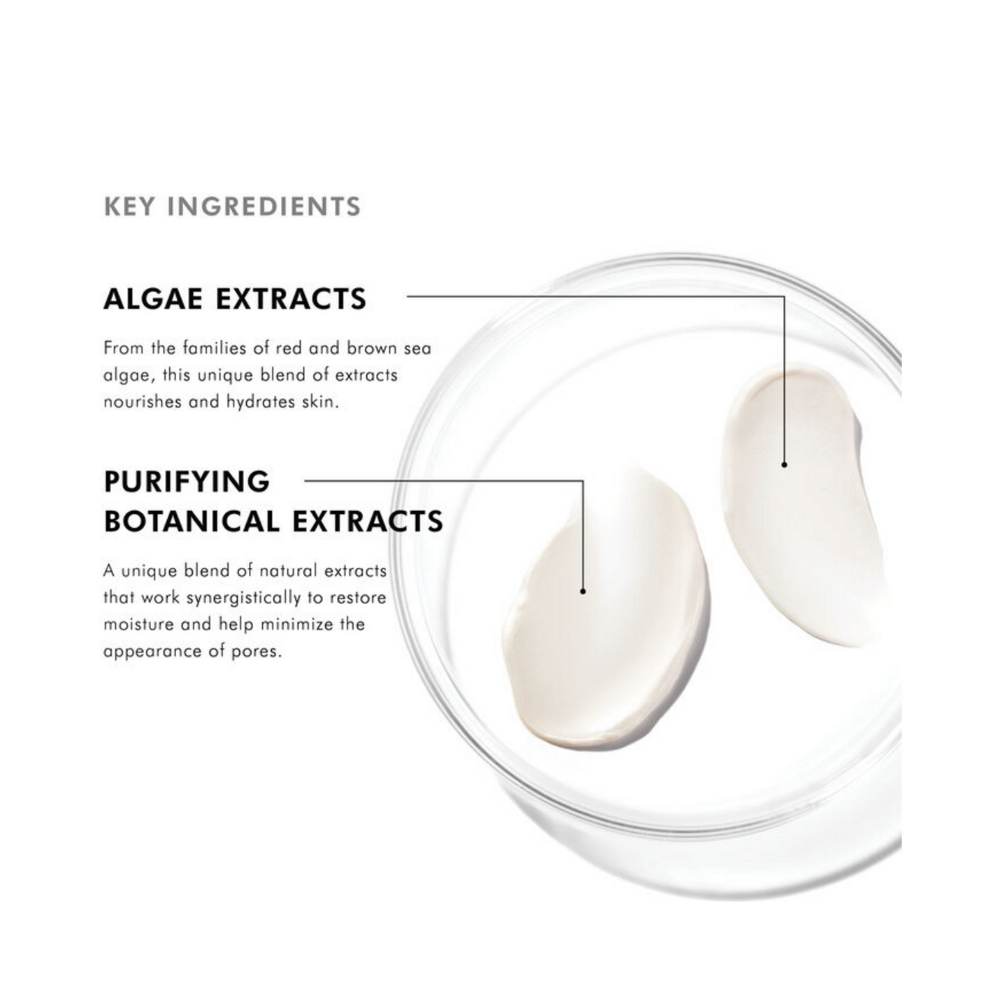 Skinceuticals tägliche Feuchtigkeit