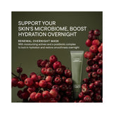 Babor Doctor Babor Renewal Overnight Mask