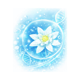 Moor Spa Edelweiss Stem Cell Serum