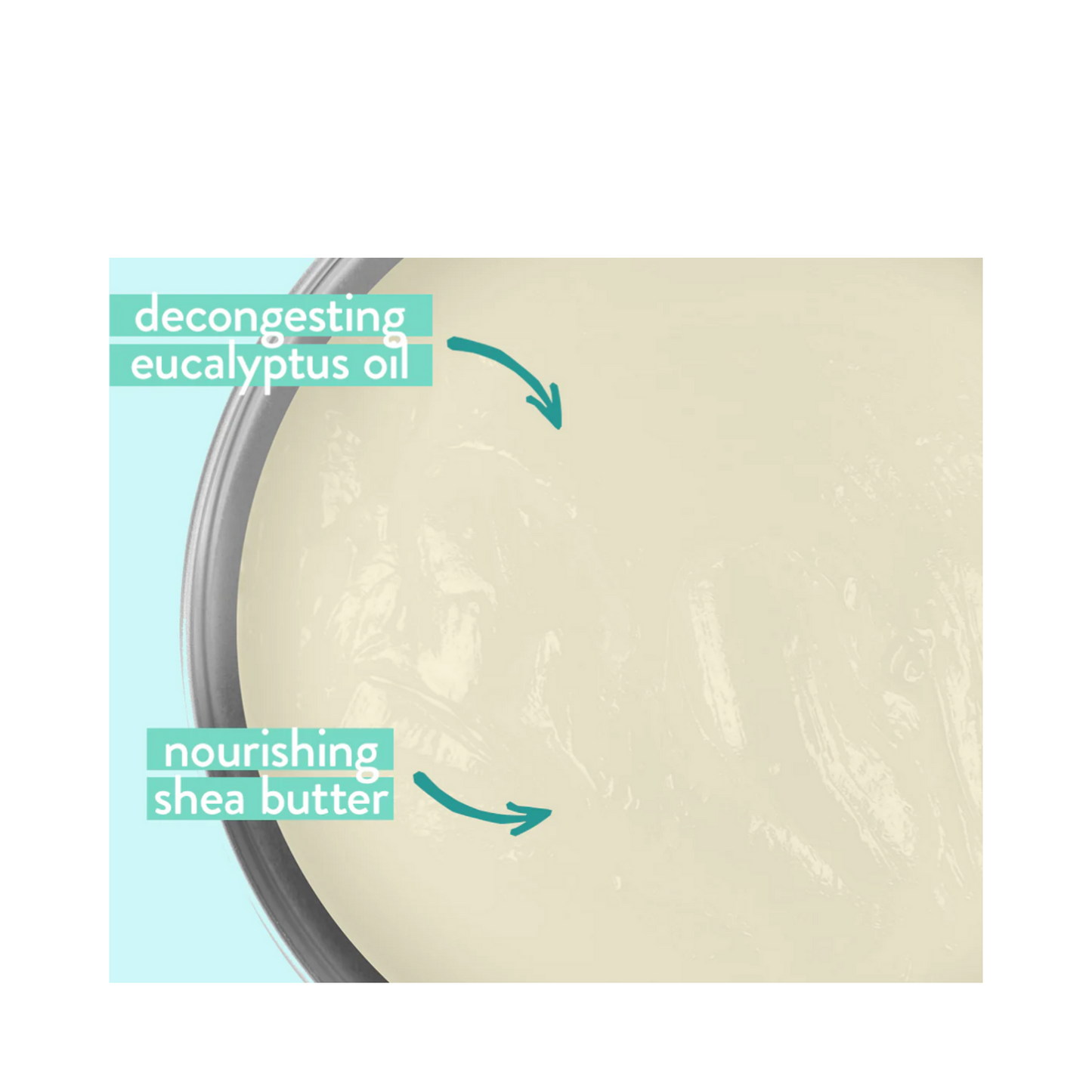 Highlighted ingredients of Babo Botanicals Chest Rub - Organic Rub | Eucalyptus Remedy featuring decongesting eucalyptus oil and shea butter.