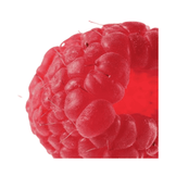 Close-up of a fresh raspberry, highlighting the natural ingredient used in Payot Exfoliating Oil Gel for gentle skin exfoliation.