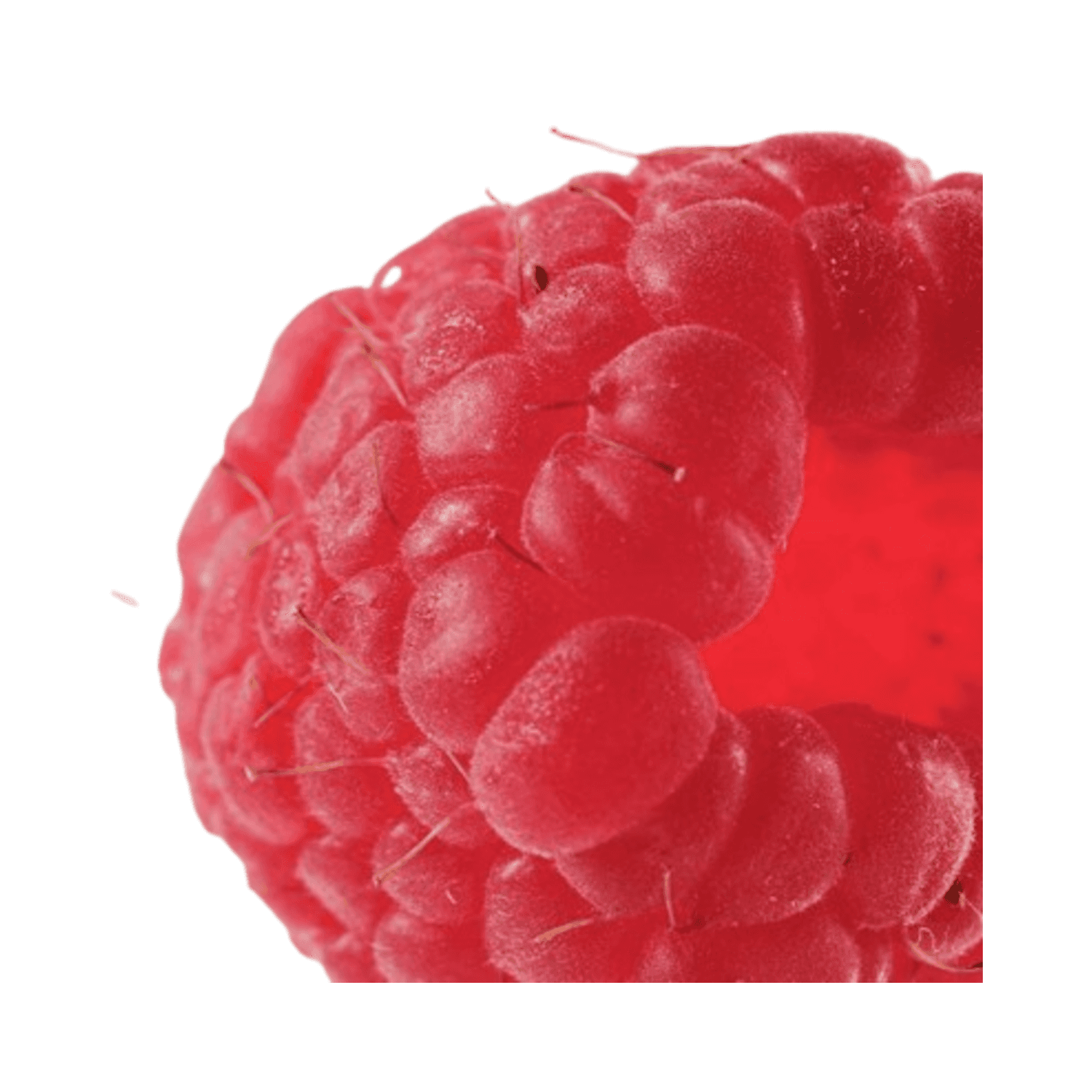 Close-up of a fresh raspberry, highlighting the natural ingredient used in Payot Exfoliating Oil Gel for gentle skin exfoliation.