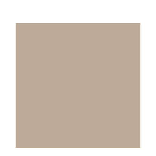 Blinc Eyebrow Mousse 4 g / 0.14 oz