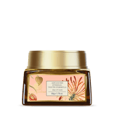 Forest Essentials Advanced Eternal Youth Formula Night Cream Date & Litchi