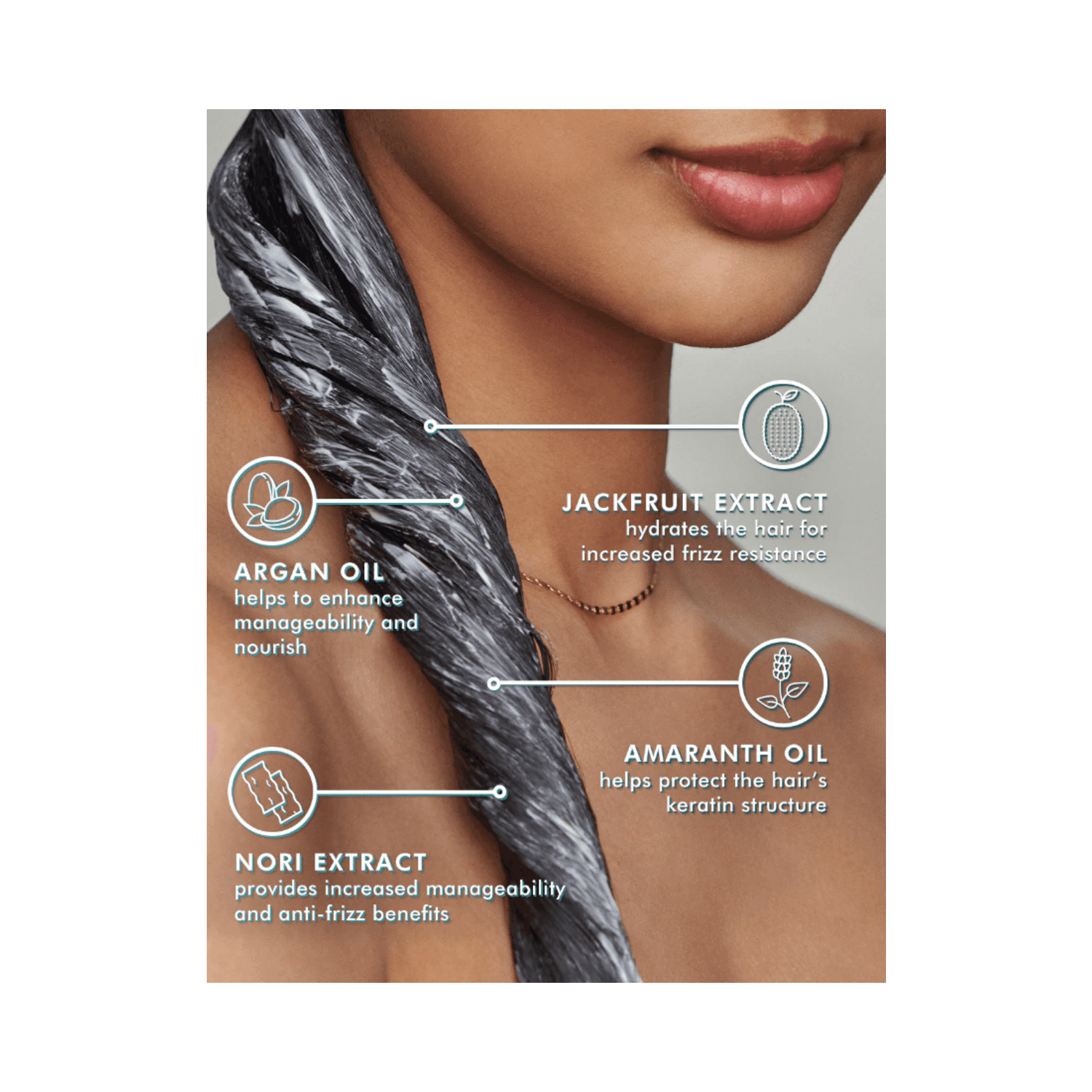Moroccanoil Frizz Control Conditioner ingredients infographic showing benefits of argan oil, jackfruit extract, amaranth oil, and nori extract.