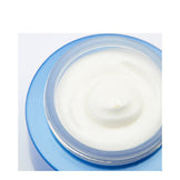 Phytomer Hydrasea Night Mulder Rich Cream