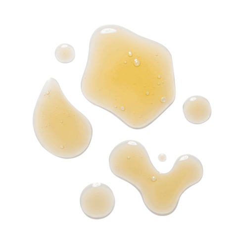 Sapelo Instant Impact Hyaluronic Acid Serum