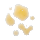 Sapelo Instant Impact Hyaluronic Acid Serum