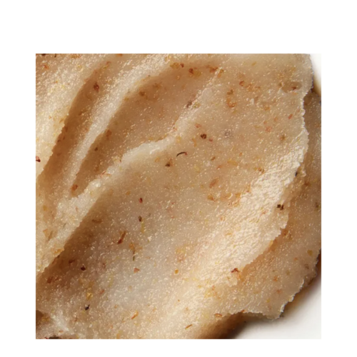 エレミスライムと生inger塩の輝き