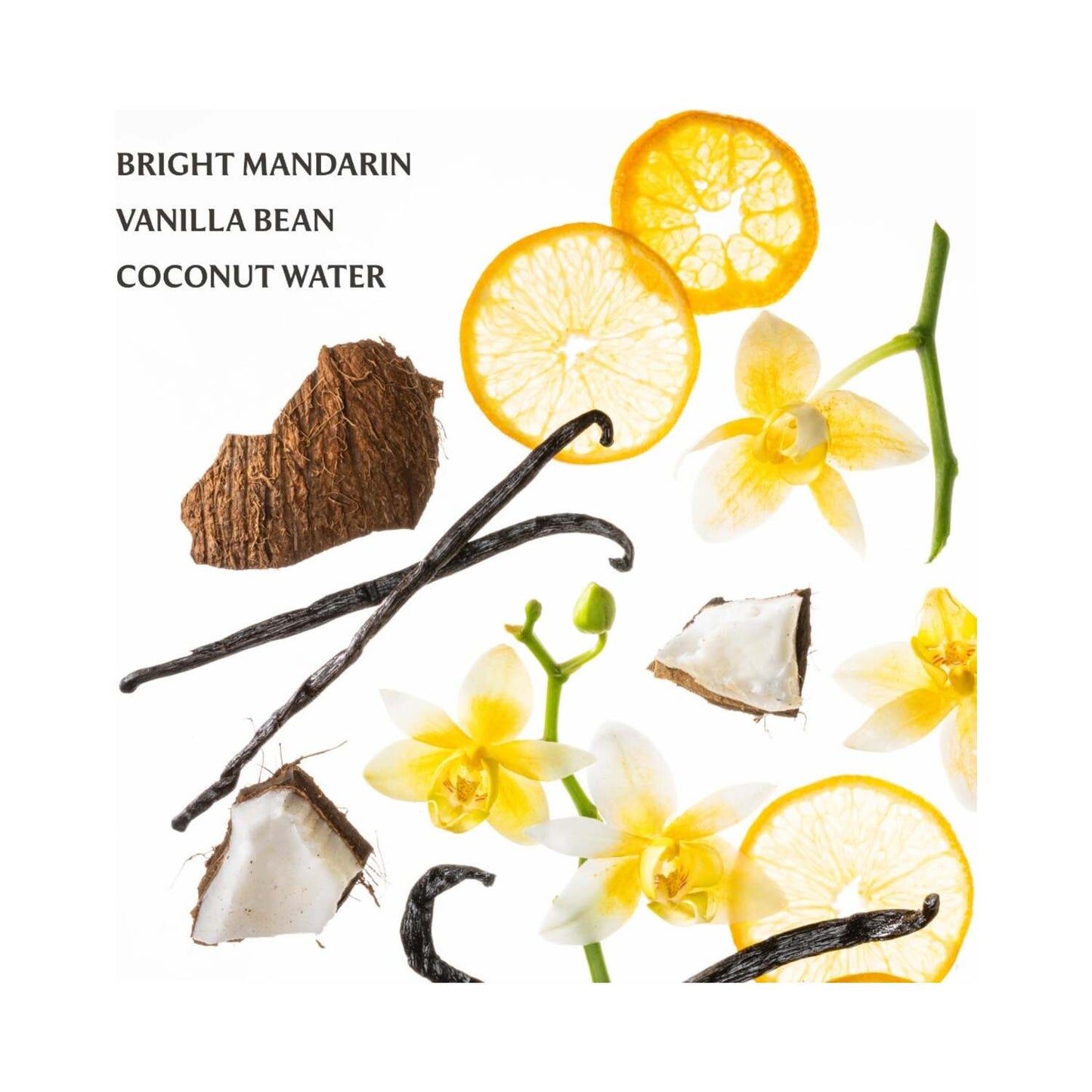 Touchland Power Mist Hydrating Hand Sanitizer - Vanilla Blossom