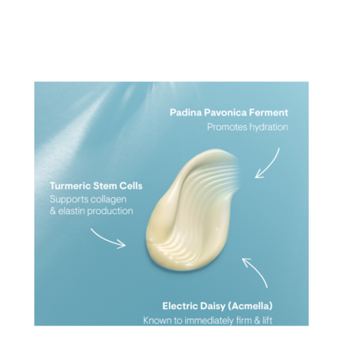 Matriz de la mañana de elemis pro-colágeno