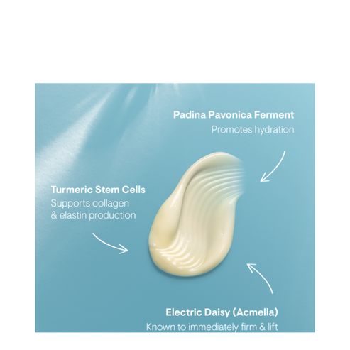 Elemis Pro-Collagen Moisturizer ingredients visual with Padina Pavonica, Turmeric Stem Cells, and Electric Daisy for hydration and firming benefits.