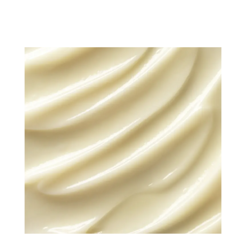 Matriz de la mañana de elemis pro-colágeno