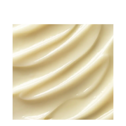 Matriz de la mañana de elemis pro-colágeno