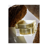 Sapelo Rejuvenating Cream