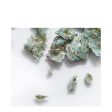 Phytomer zeewierzeep