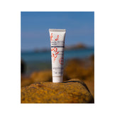 Algologie Soleil Marin - Smoothing and Blurring Primer