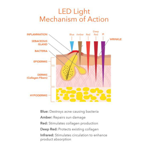Tohtori Dennis Gross Spectralite Faceware Pro