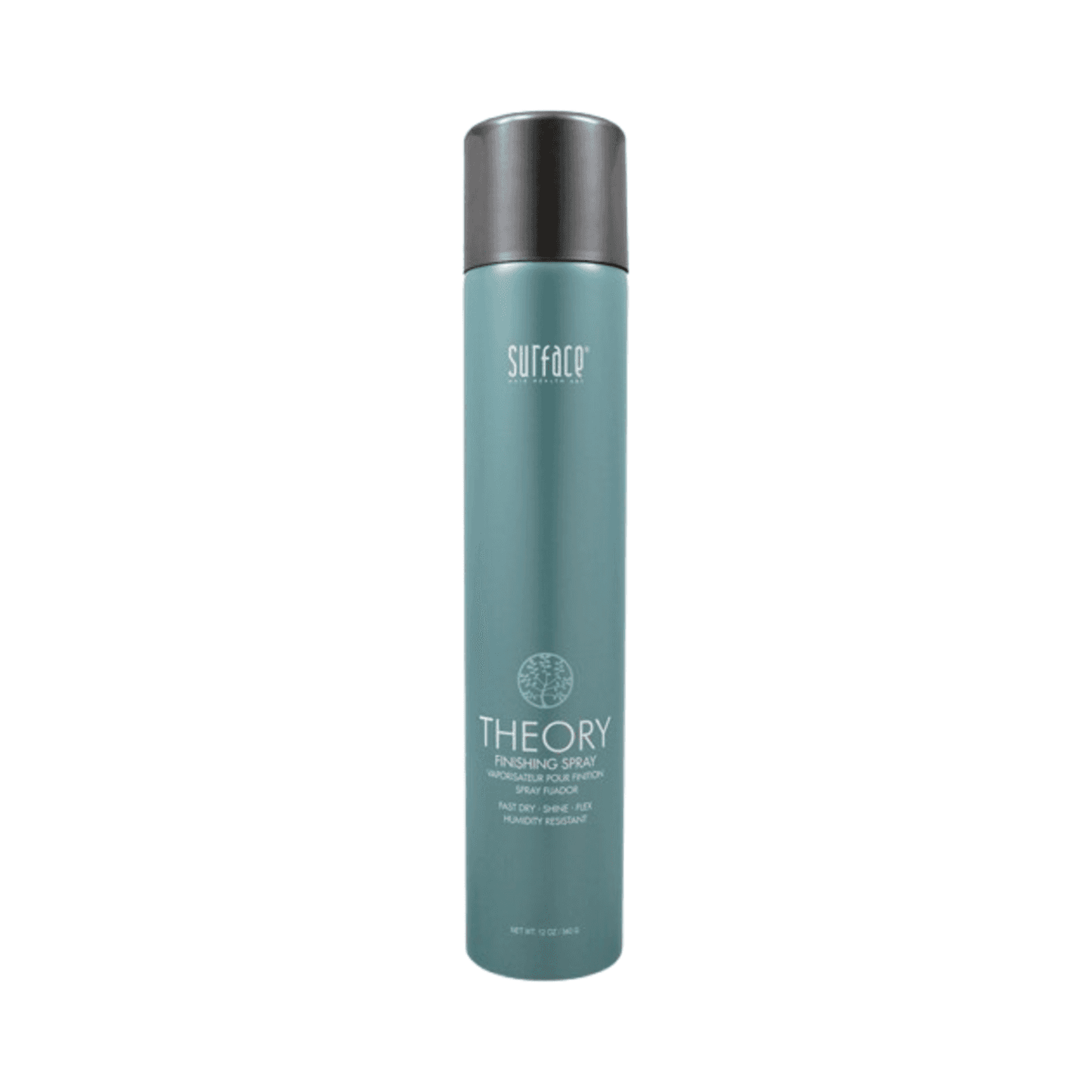 Surface Styling Theory Firm Finishing Spray