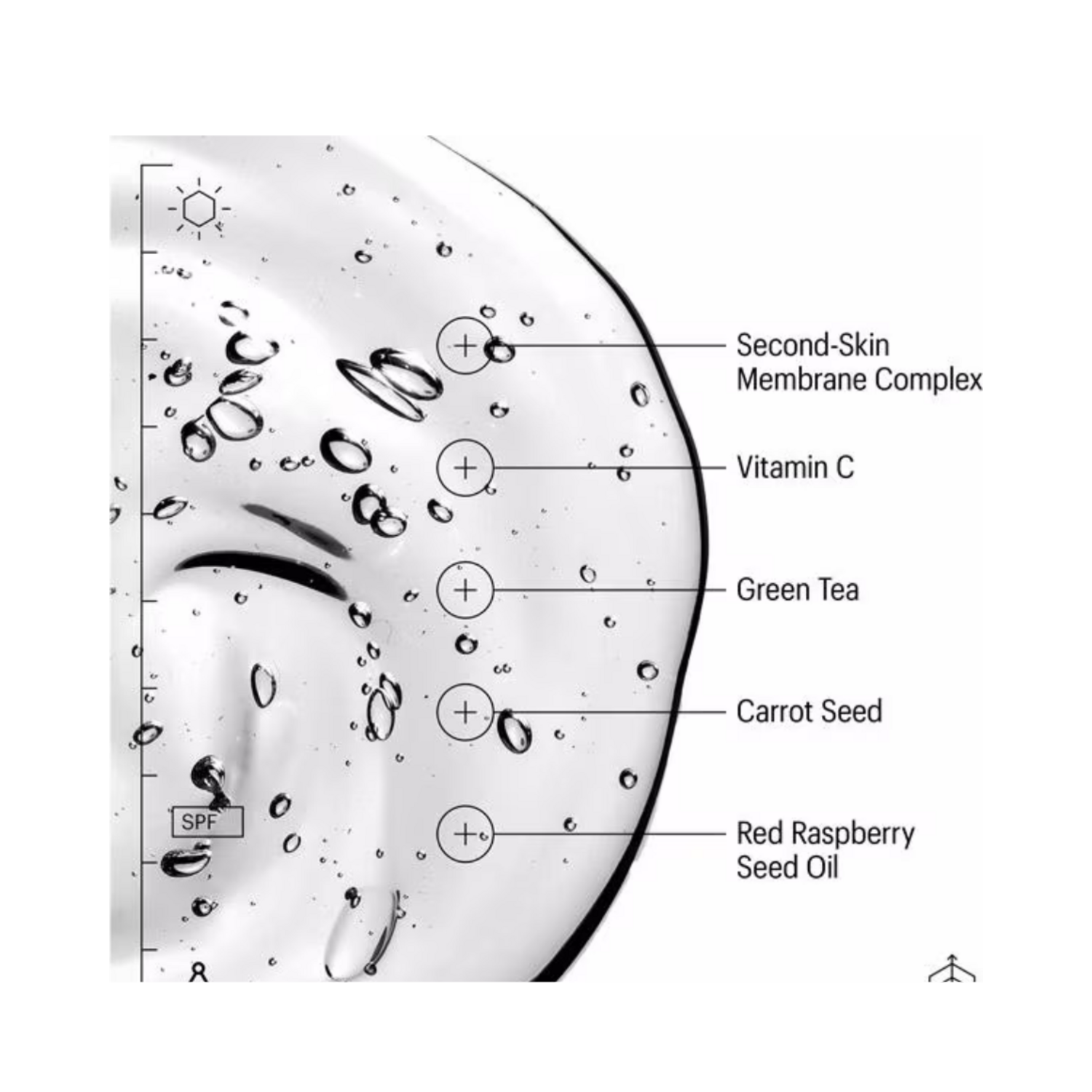 Transparent gel texture of Allies of Skin SPF50 with ingredient callouts like Carrot Seed and Second-Skin Membrane Complex for enhanced skin defense.