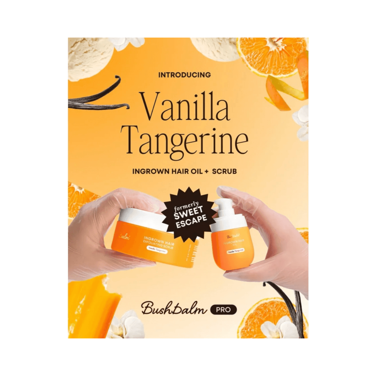 Bushbalm Vanilla Tangerine Exfoliating Scrub Ingrown Hair
