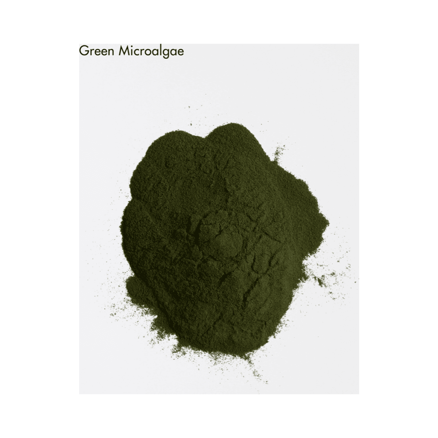 Green Microalgae powder, a key ingredient in La Biosthetique Scalp Concentrate for nutrient-rich scalp and hair treatment in personal care.