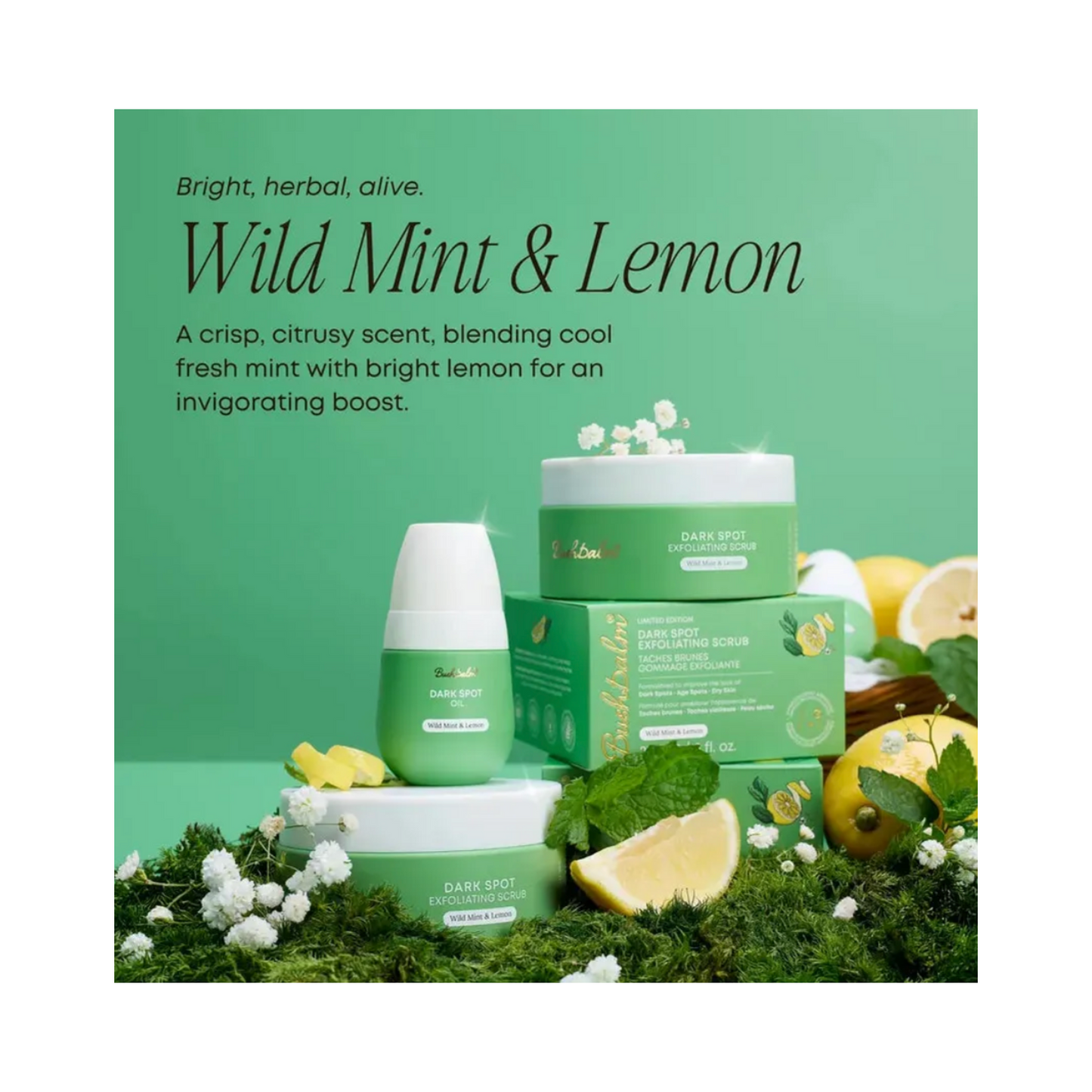 Bushbalm Wild Mint and Lemon Oil Dark Spot