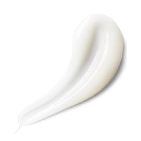 111SKIN y نظرية الكريمة الخفيفة NAC Y2