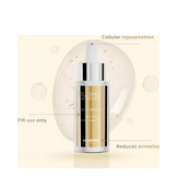 سويسري الخط الداعم للشباب