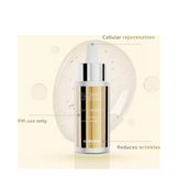 سويسري الخط الداعم للشباب